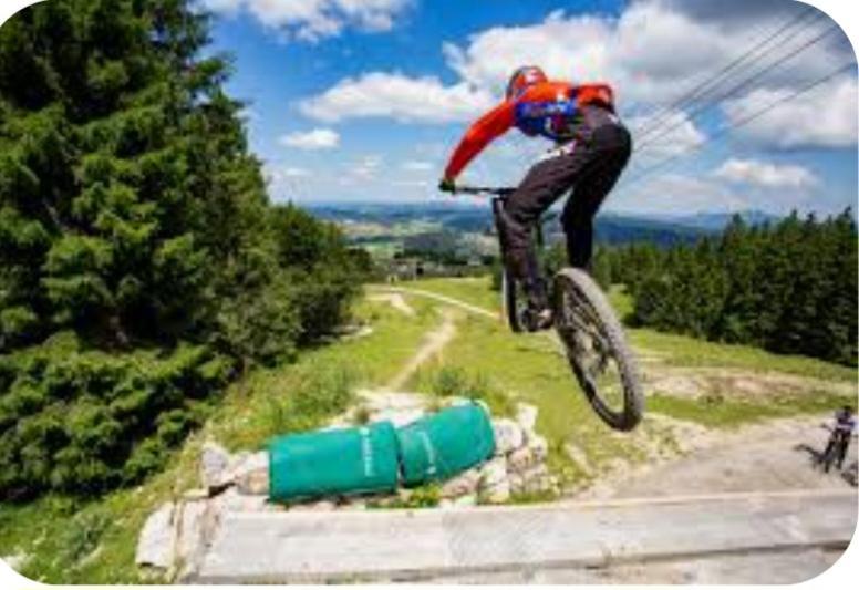 Le Chamois Mont D'or Apartment *